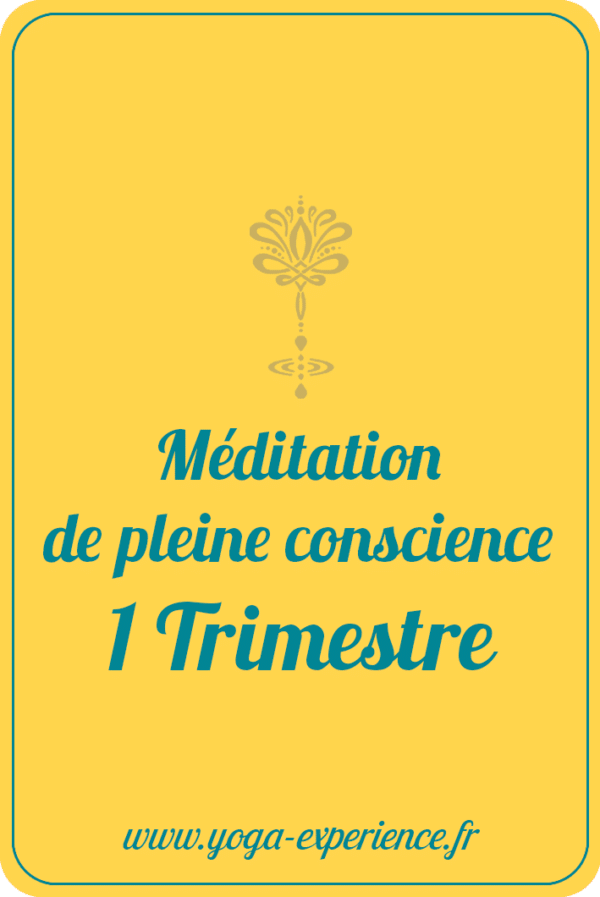 Méditation de pleine conscience un trimestre