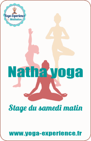 carte-stage-natha-yoga